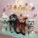 DOG LOVE WITH 란 이미지