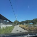 고려 | 고려승마클럽 외승 후기 (내돈내산)