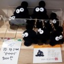 강릉 소품샵 &#39;그리다 유리알 유희&#39; 여러 작가님을 만날 수 있는 공간.