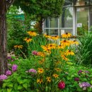 카페정원 이미지