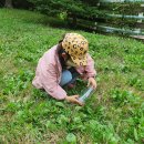 본아미강남어린이집 이미지