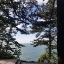 상화원한국컴퓨터 | 대천항 인근 죽도 상화원 - 아름다운 정원과 한옥들