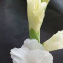 프로스퍼 이미지