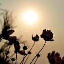 가산낚시터 이미지