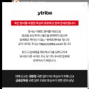 와이트라이브