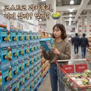 코스트코 과카몰리 활용법 10가지, 솔직후기와 냉동 소분 갈변 꿀팁