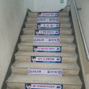 단국대스타태권도장 이미지