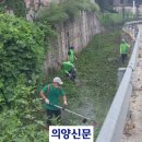 연동천 의양신문