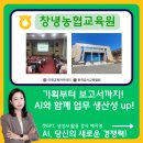 농협중앙회창녕군지부 | 챗GPT강사 예지영 농협중앙회 경남본부 창녕농협교육원 박자림강사님 교육지원 후기