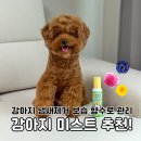 pet 150더4161 | 강아지 미스트 냄새제거 털 관리에 보습 향수 펫생각 추천