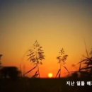 윤슬 Daum카페