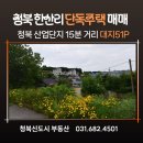 H0042 네이버블로그