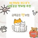 금쪽금쪽금쪽반려동물병원 | Kb손해보험 금쪽같은 펫보험 청구 후기 치료비 걱정 이젠 없어요!