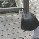 8월18일 사슴벌레랑~ 이미지