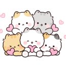 동신식자재마트 이미지