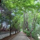 몽마르뜨공원 이미지