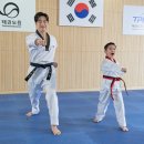 태권도 스포츠투데이