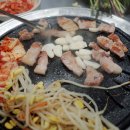 꿀꾸리뒷고기