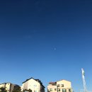 (주)맘스팜 네이버블로그