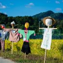 코스모스길 이미지