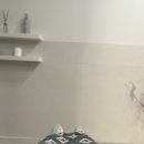 태건 | 잠실 미용실 마인디 잠실점 레이어드펌 후기 — 태건쌤의 맞춤 컨설팅으로 인생 머리 완성