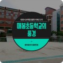 대전매봉초등학교 이미지