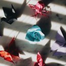 도전 종이접기 자격증 이미지