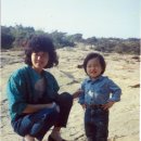 짱태권도 이미지