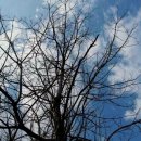 빨간산농장 이미지