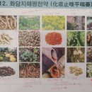 청금탕 네이버블로그