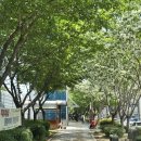 포항시북구89 | [2026일상] 260427 ~ 240503(안동 여행, 대구 블랙이글스 공연, 포항 여행)