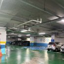 시크릿디자인 | 관리데이💅 속눈썹펌과 생장술까지 디자인시크릿