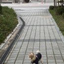 뮤즈펫살롱 이미지