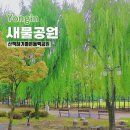 새물근린공원 | 용인 기흥 공원 걷기 좋은 산책로와 놀이터도 괜찮은 새물공원