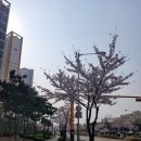 호매실 고기집 &lt;육식예찬&gt; 친구와 방문한 후기