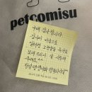 강아지의 넥카라 구매여정 / 펫코미수 넥카라 내돈내산 후기 (feat.말라세찌아,식이알러지? 아토피?)