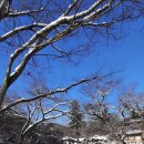 마곡사경내 이미지