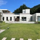 아이보리 타이거 이미지