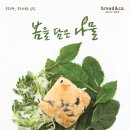 비타민베이커리