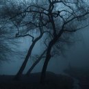 이룸동물병원 이미지