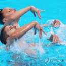 일심 이미지