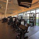 파리스짐 이미지