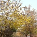 누구나 할 수 있는 포토샵 이미지