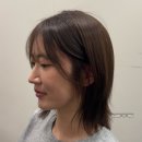 청담동 미용실 퍼스널 헤어 컨설팅 메이븐 태리쌤