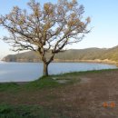 웰빙정비공장 이미지