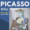 피카소예술상점