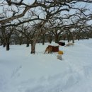 다감농장 이미지