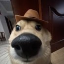 종로-연건-종로-연-307 | You always pop the top of my 야마