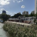 공릉동도깨비시장 이미지