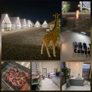 경기동로 | 동탄캠핑 화성 바베큐캠프닉868.3 방문 후기